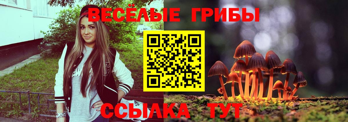 Псилоцибиновые грибы Cubensis  Вход с VPN  Глазов 