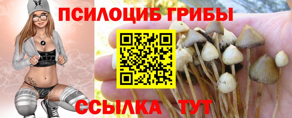 Галлюциногенные грибы мухоморы Глазов